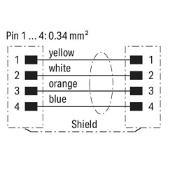 primary_image