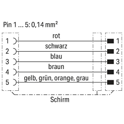 primary_image