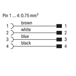 primary_image