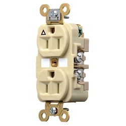 Hubbell IG5262I Straight Blade Receptacle