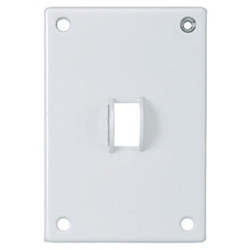 Hubbell SWP1 Standard Security Wallplate