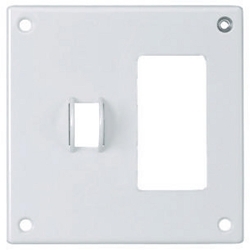 Hubbell SWP126 Security Wallplate