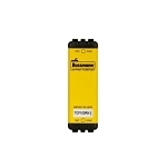 Bussmann TCF100RN Time Delay Fuse